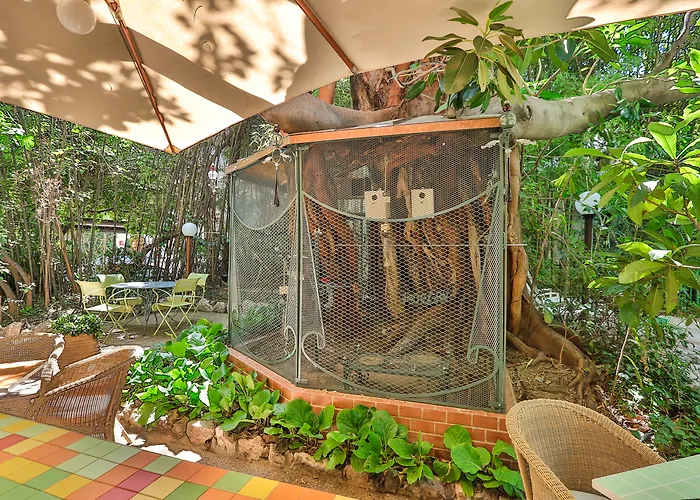 Le Windsor, Jungle Art Hotel