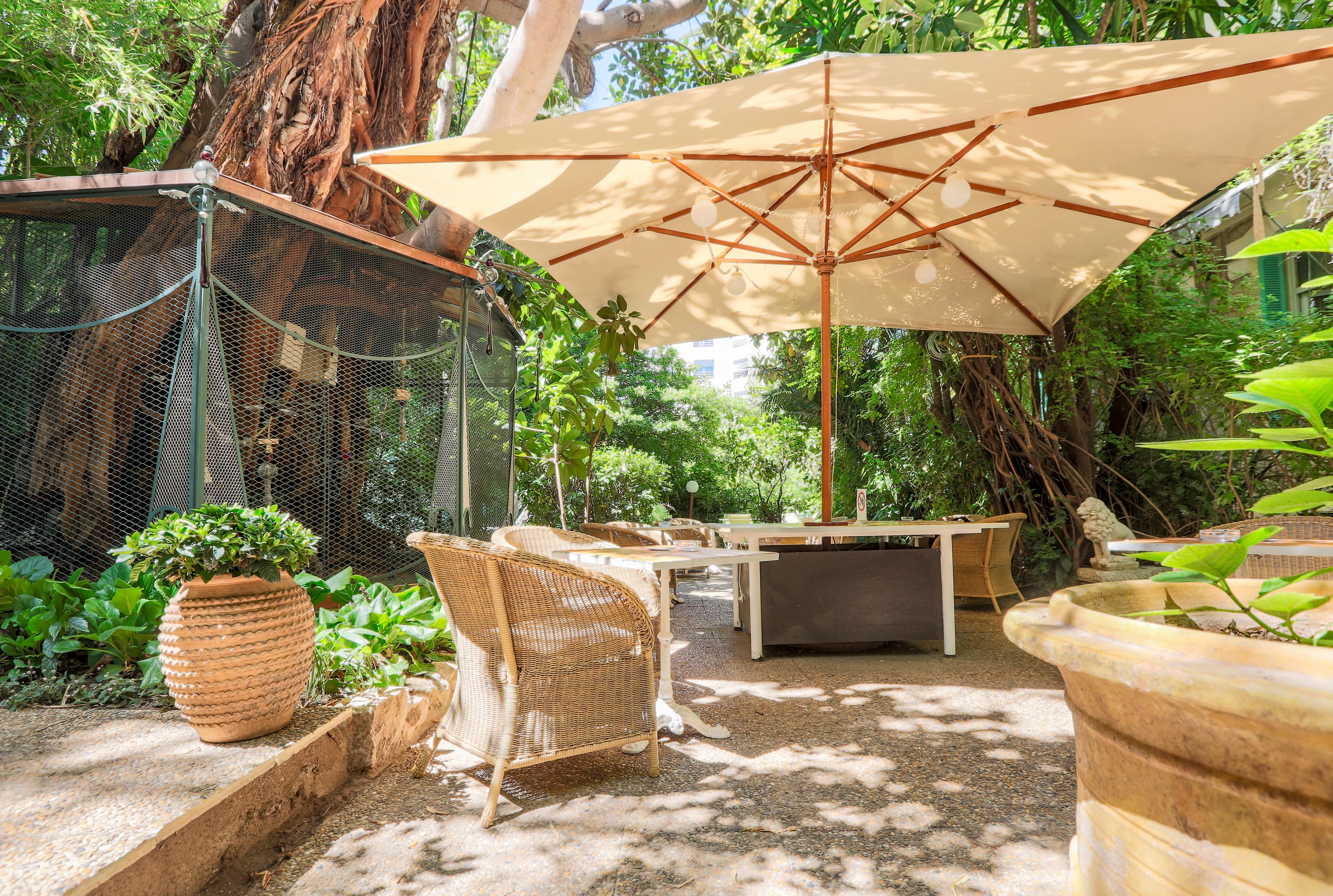 Le Windsor, Jungle Art Nizza