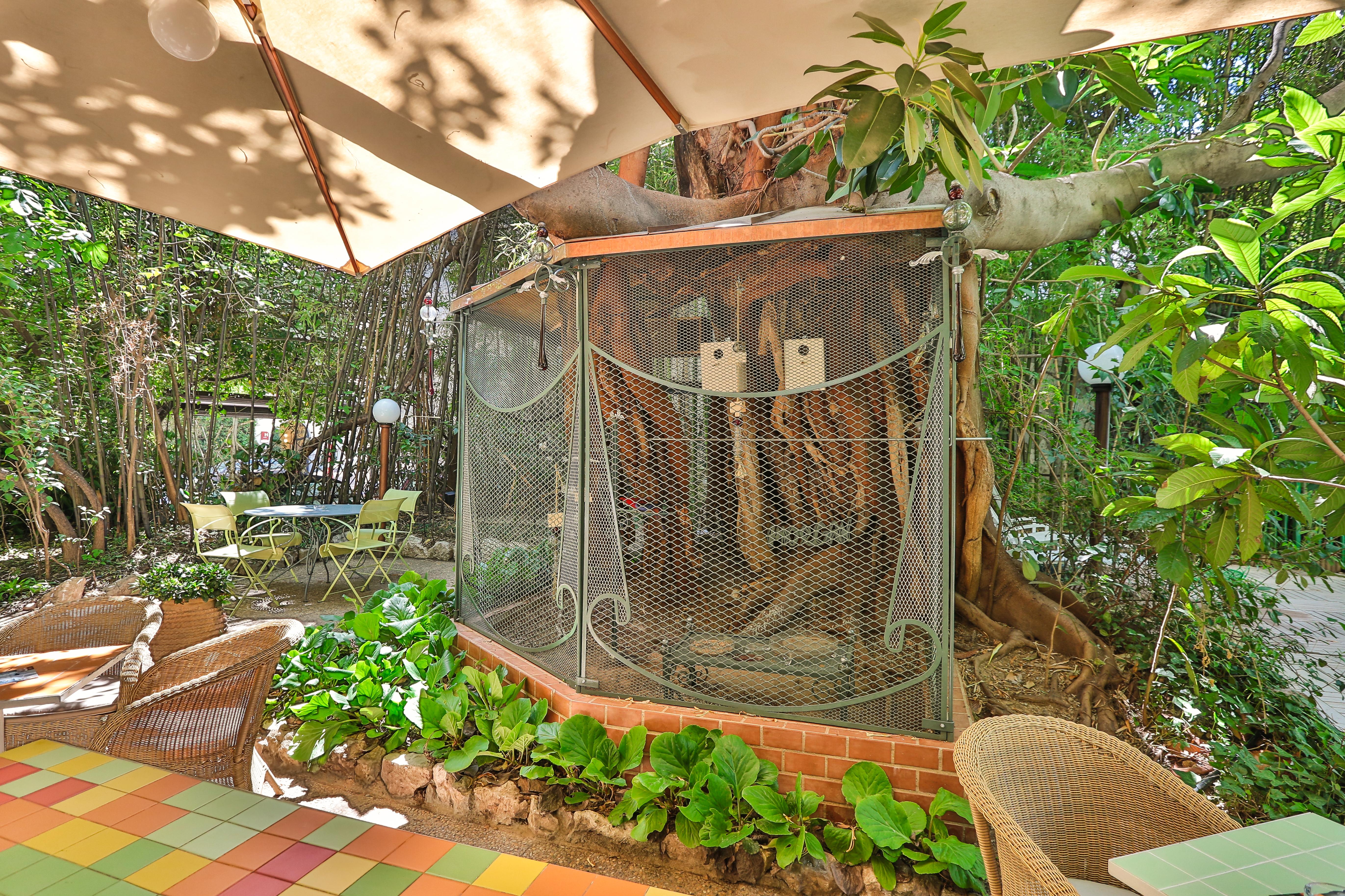 Le Windsor, Jungle Art Nizza
