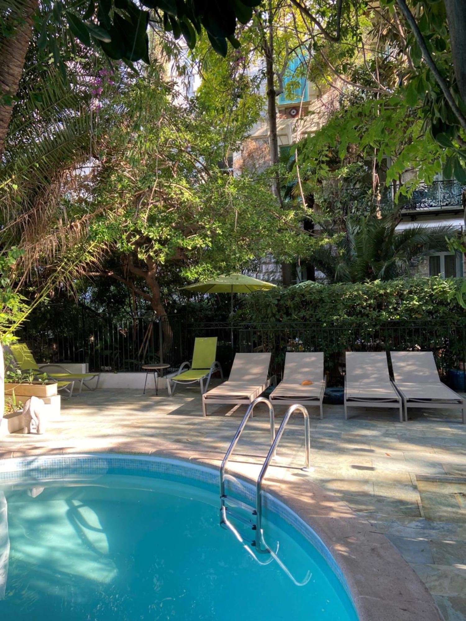 Hotel Le Windsor, Jungle Art