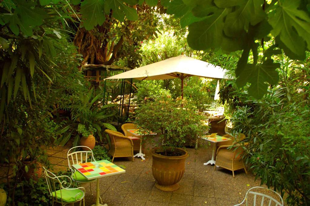 Le Windsor, Jungle Art Nice