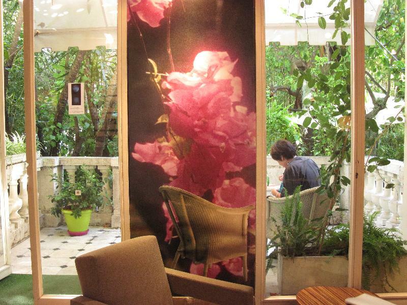 Le Windsor, Jungle Art Hotel Nizza