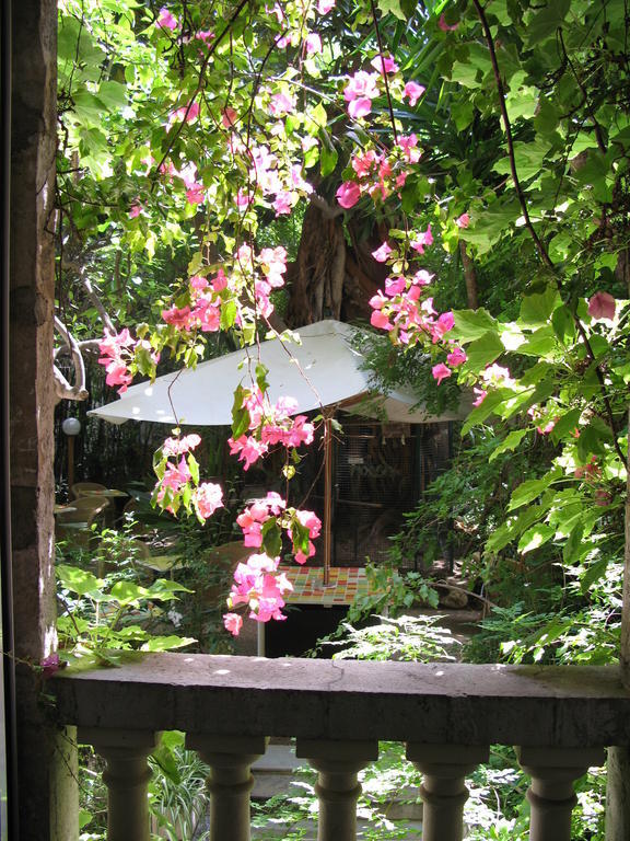 Le Windsor, Jungle Art 4* Nice