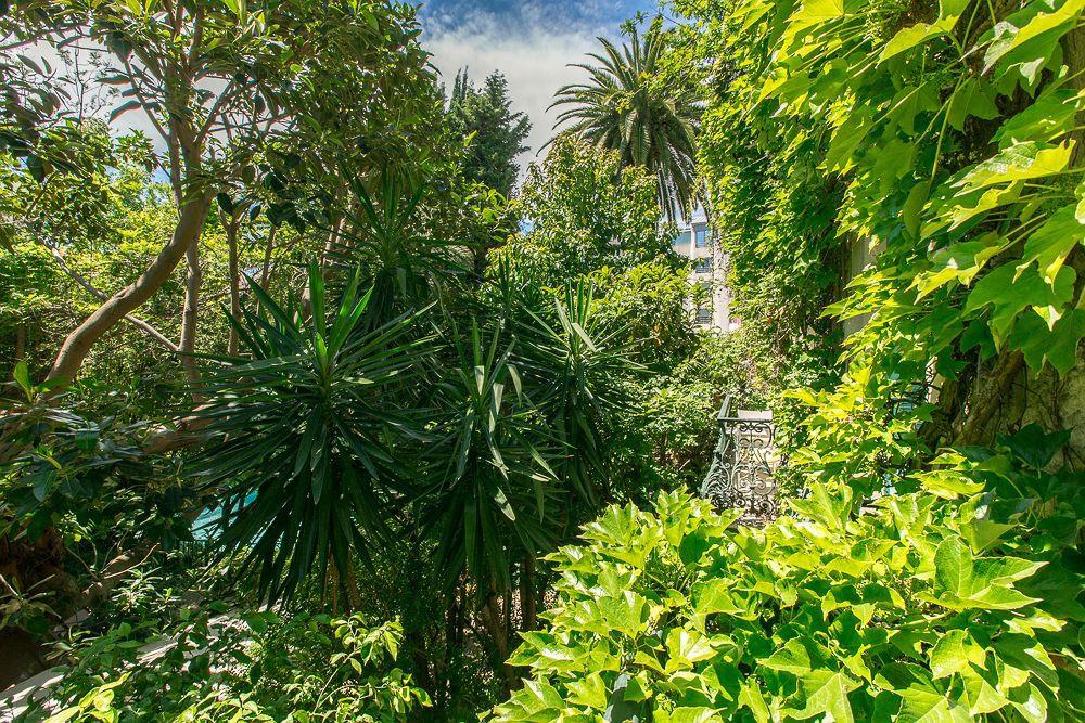 Le Windsor, Jungle Art Hotel